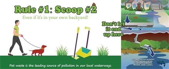 Scoop the poop. Even in your own backyard.