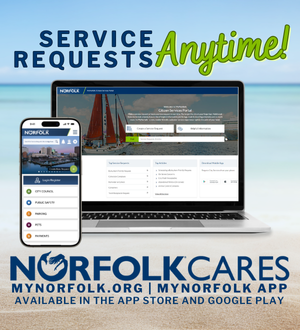 norfolk cares summer spotlight image link
