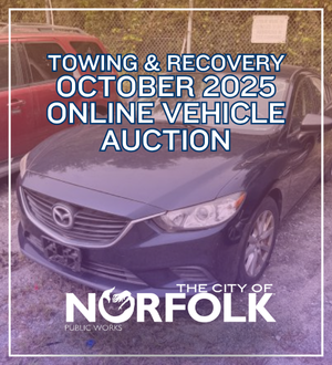 october 25 auction spotlight image link