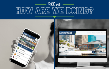 App and Website Surveys Image