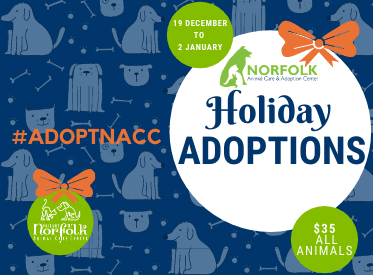 Spotlight NACC Holiday Adoption Special Image Link