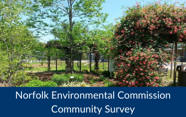 NEC Survey Image Link