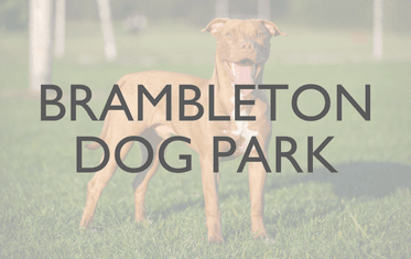 Brambleton Dog Park Image Link 