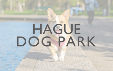 Hague Dog Park Image Link