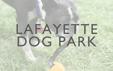 Lafayette Dog Park Image Link