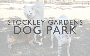 Stockley Gardens Dog Park Image Link