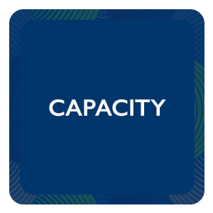 Capacity Image Link