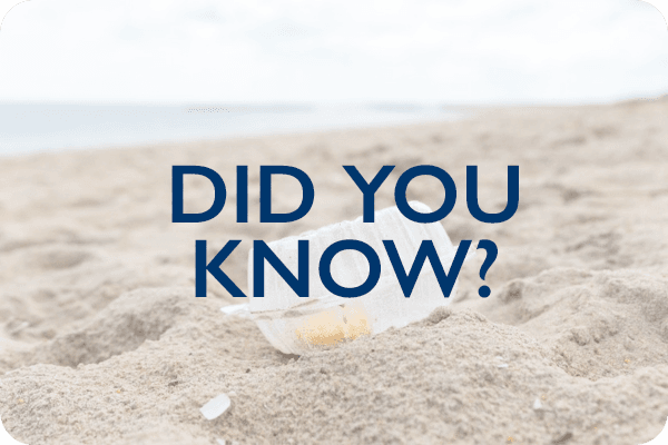 Did you know image 3