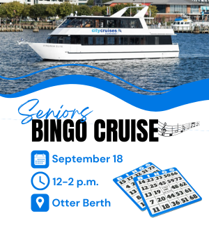 Seniors Bingo Cruise Aug 2024_Web Spotlight