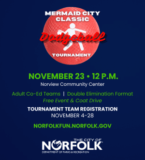 Adult Co-Ed Dodgeball Tournament Nov 23_Web Spotlight