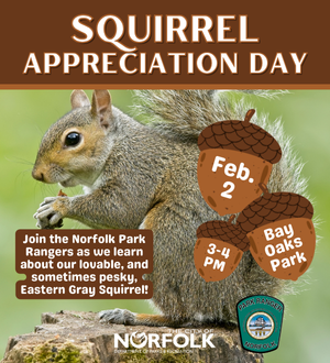 Squirrel Appreciation Day Feb 2025