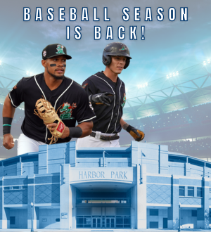 Tides Baseball Parking City Spotlight Image Link