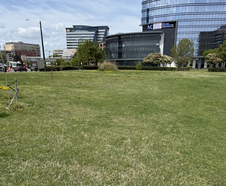 Hague Dog Park Image