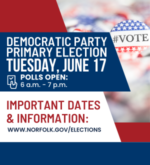 2025 primary election Image link