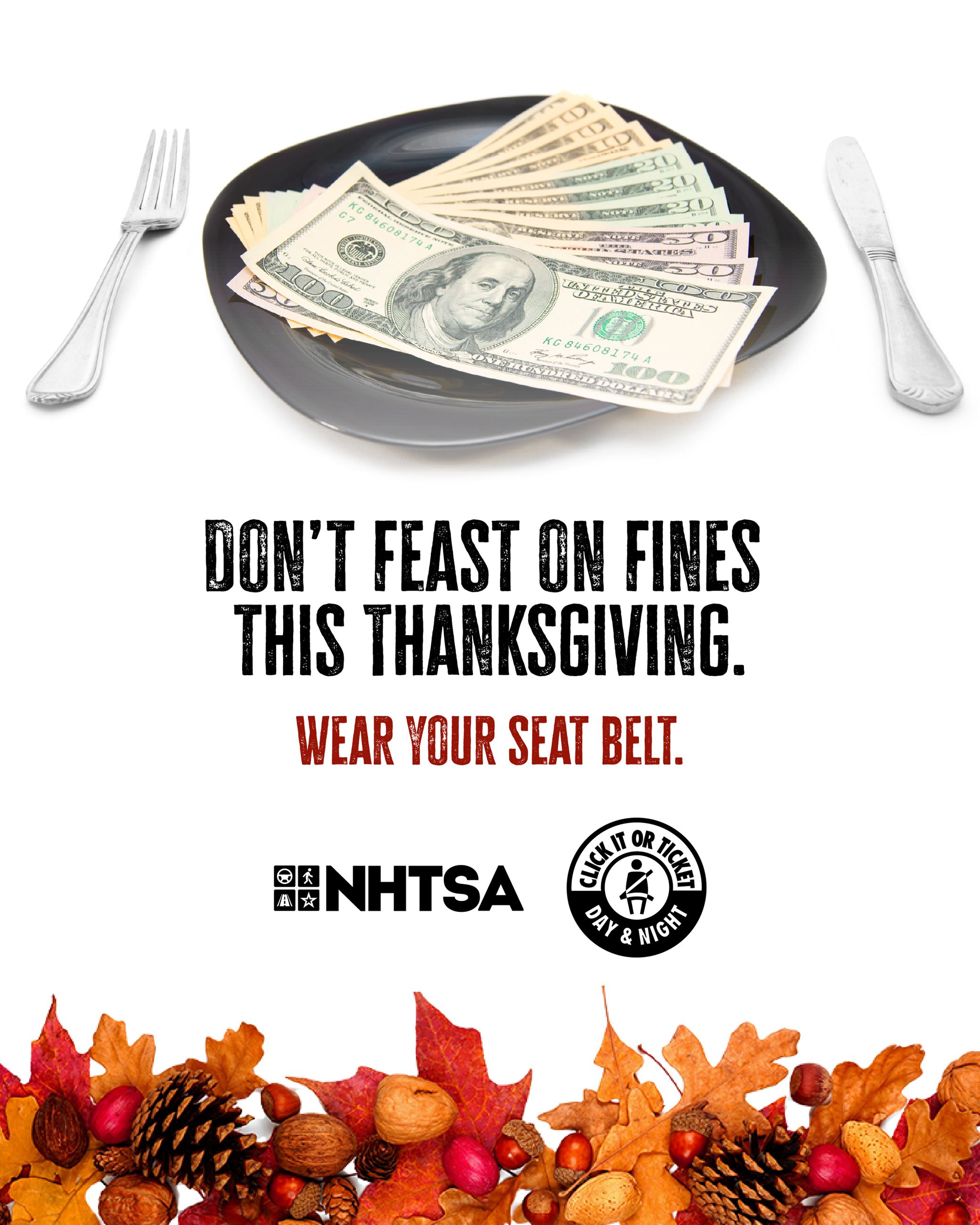 seat-belt-enforce-thanksgiving-fines-graphic-1080x1350-en-2025