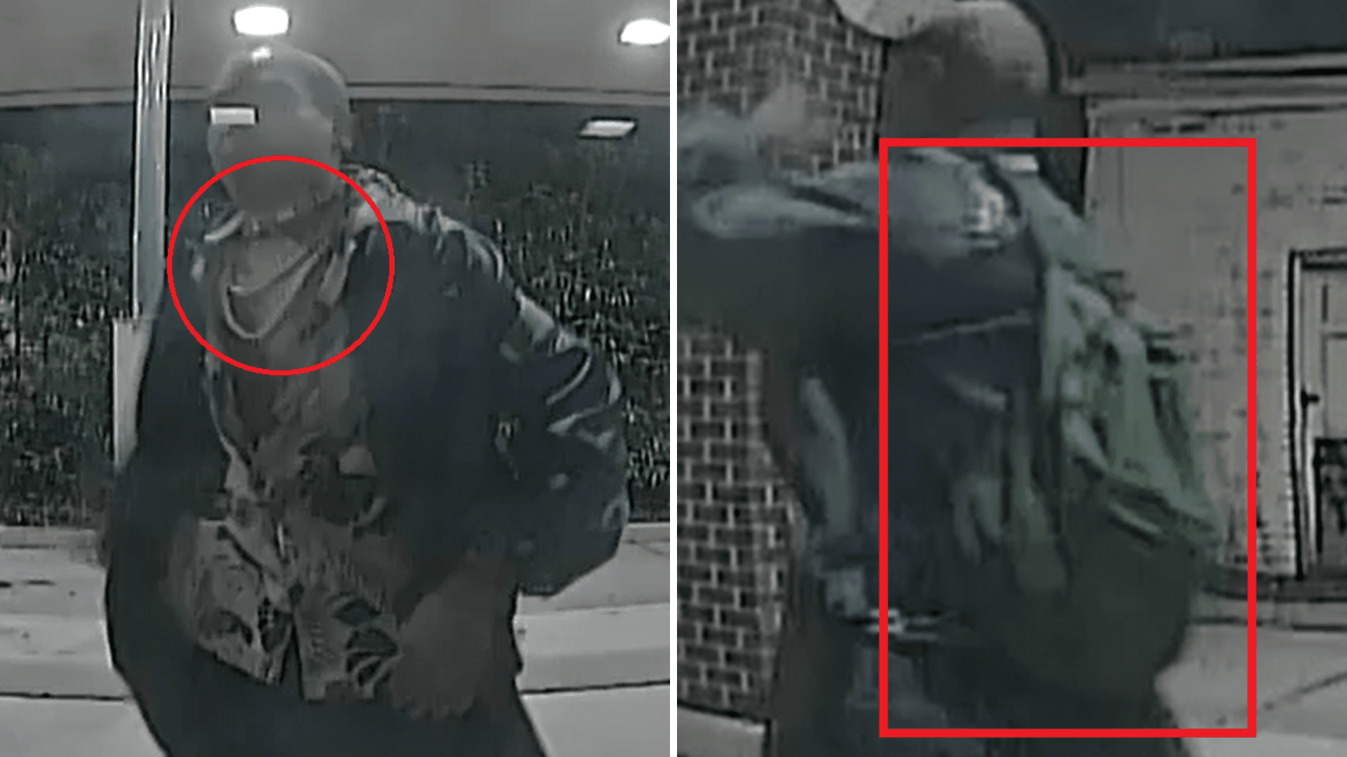 Vandalism Suspect 5