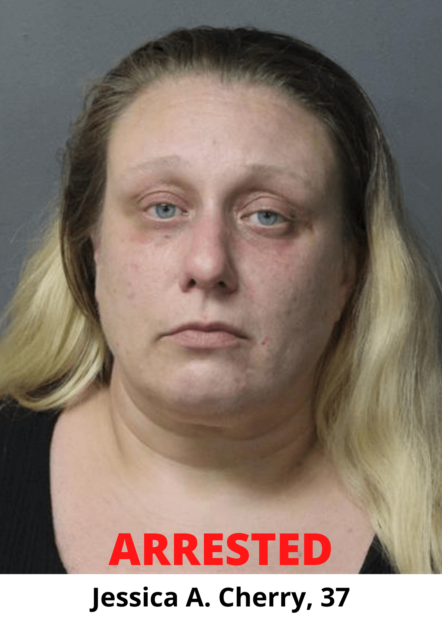 Arrest Photo - Jessica A Cherry