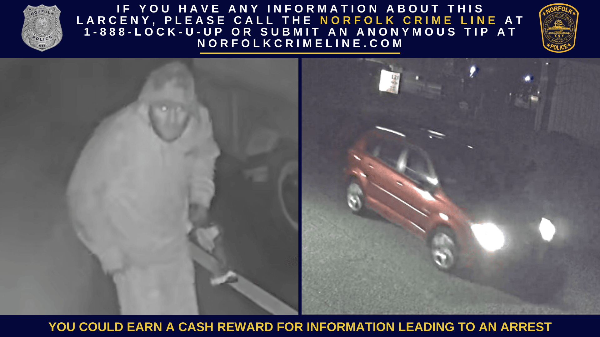 Larceny Suspect Photo