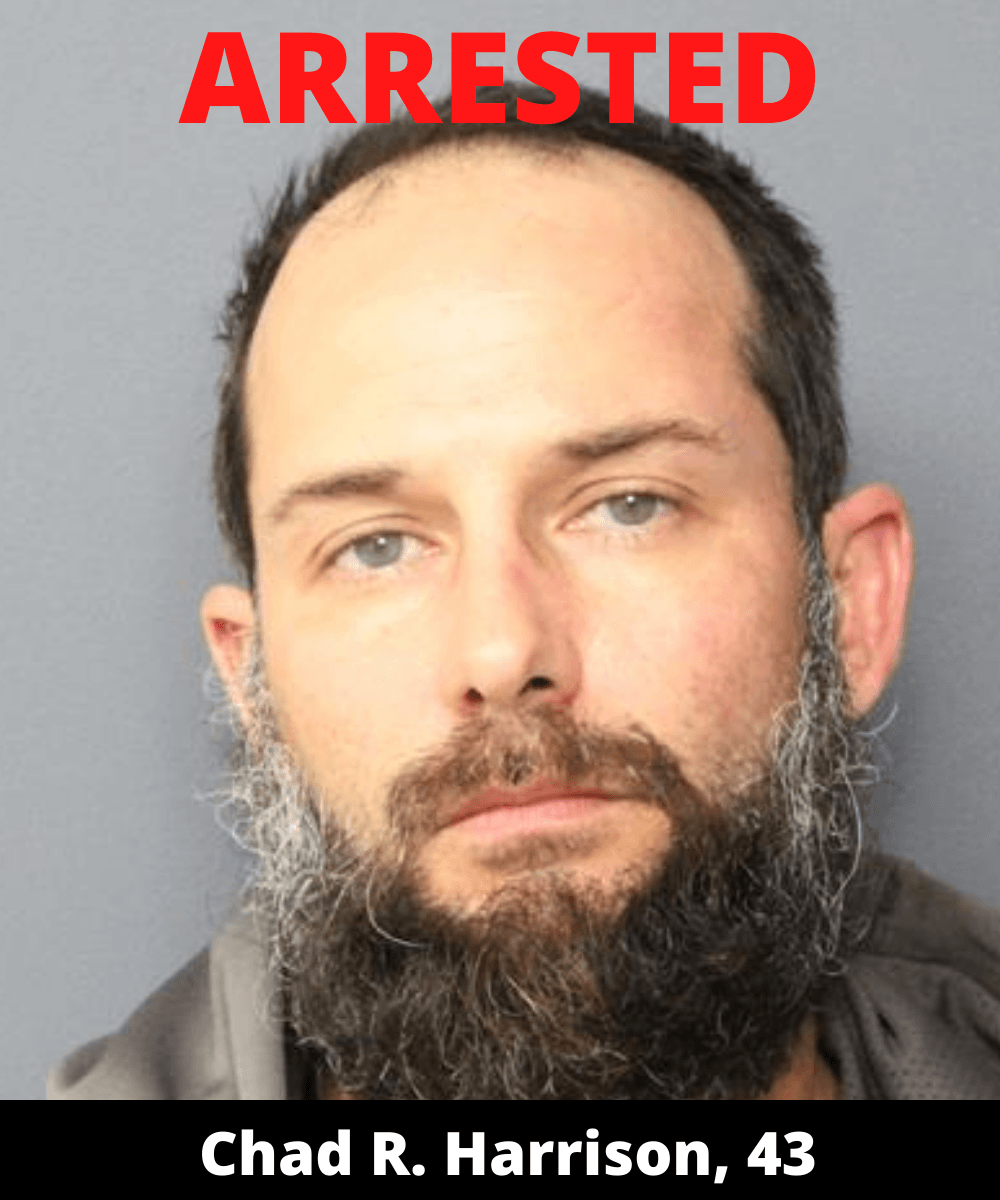 Copy of MissingRunaway