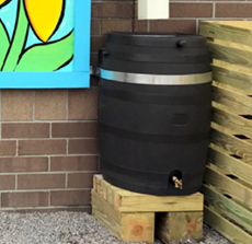 Rain Barrel Picture